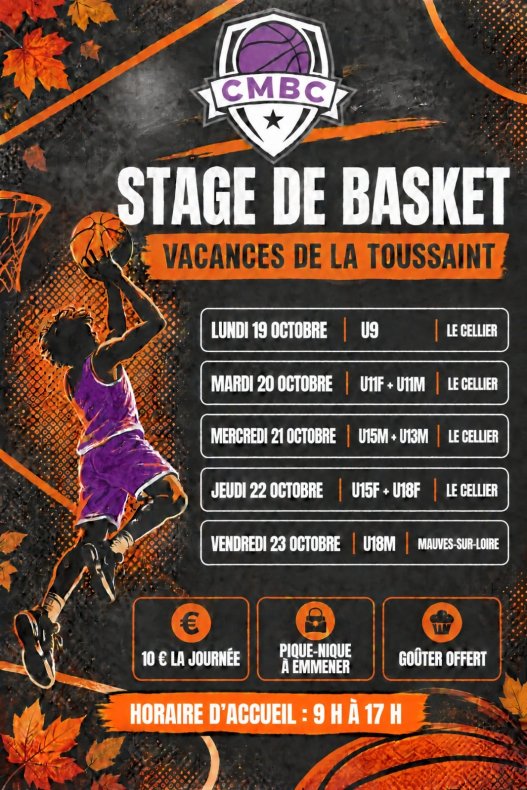 Stage Basket Toussaint 2026